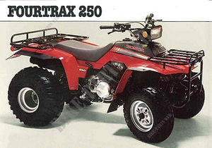 250 FOURTRAX 1986 TRX250G