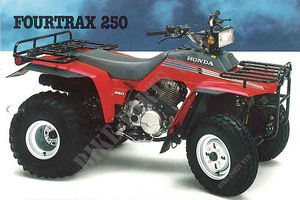 250 FOURTRAX 1987 TRX250H