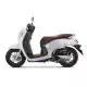 110 SCOOPY 2023 ACF110CBT_23_IN