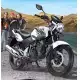 200 TIGER 2012 GL200RA1A