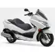250 FORZA 2010 NSS250AA