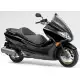 250 FORZA 2010 NSS250AA