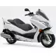 250 FORZA 2010 NSS250AAA