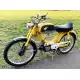 50 other-models 1972 PS50_BG_72