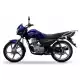 150 other-models 2017 RT150