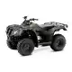 250 FOURTRAX 2024 TRX250TE1R