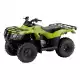 250 FOURTRAX 2024 TRX250TE1R