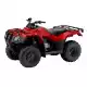 250 FOURTRAX 2024 TRX250TE1R