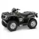 500 FOURTRAX 2005 TRX500FGA5