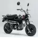 50 MONKEY 2011 Z50JB_11_M
