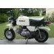 50 GORILLA 1978 Z50J_III_G78