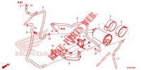 AIR INJECTION SYSTEM for Honda CB 300 R ABS 2021