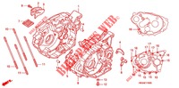 CRANKCASE   OIL PUMP for Honda SPORTRAX 300 EX standard 2001