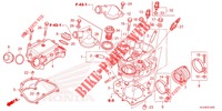 CYLINDER HEAD   for Honda PIONEER 520 M2 2021