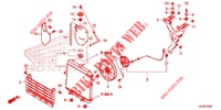 RADIATOR   for Honda PIONEER 520 M2 2021