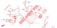 CANISTER   for Honda CB 125 R 2022