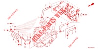     FLEXIBLE DE RADIATEUR/TUYAU D'EAU for Honda NT 1100 2022