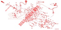 REAR CRANKCASE COVER for Honda PIONEER 520 M2 2022