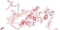 GAS RECYCLING SYSTEM for Honda CB 300 R ABS 2023