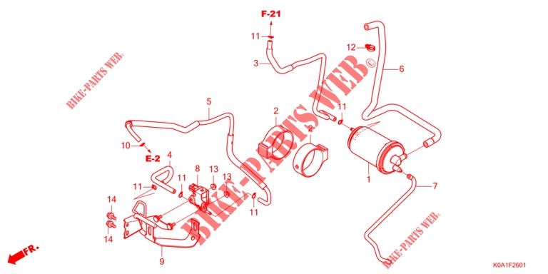 CANISTER (CBF250NAP) for Honda CB 250 R 2023
