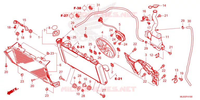 RADIATOR - EXPANSION TANK Honda MOTO 750 HORNET 2023  CB750AP