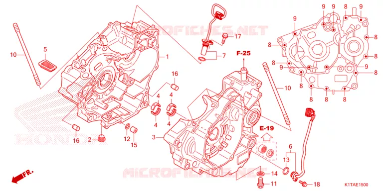 CRANKCASE COVER Honda MOTO 300 CRF 2024  CRF300LRP