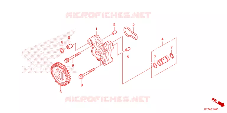 OIL PUMP Honda MOTO 300 CRF 2024  CRF300LRP