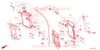 RADIATOR for Honda CRF 250 R 2024