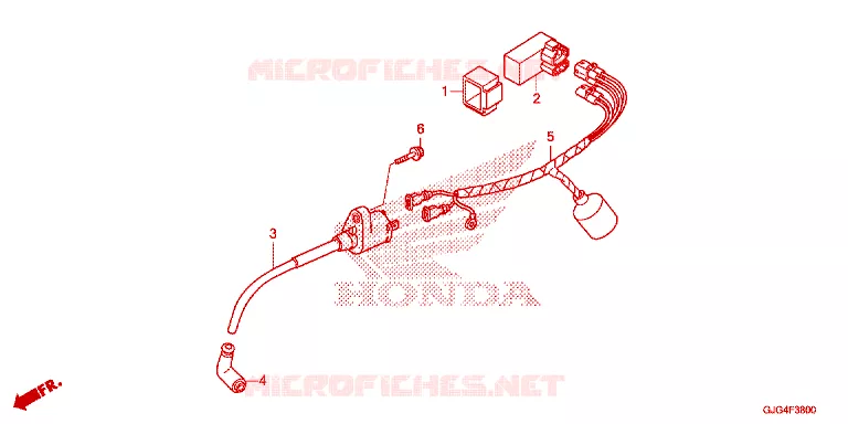 WIRE HARNESS Honda MOTO 50 CRF 2025  CRF50FS