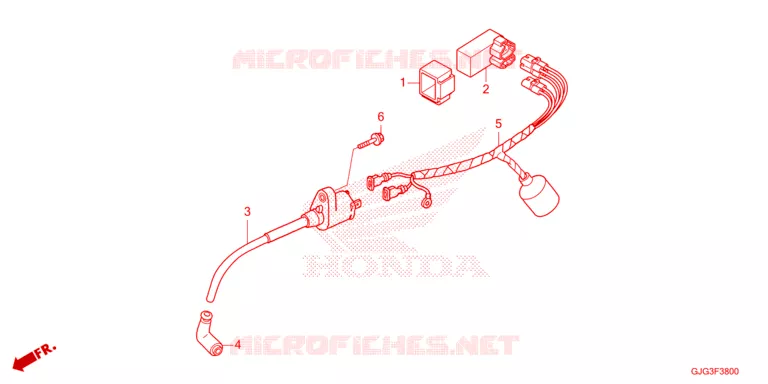WIRE HARNESS Honda MOTO 50 CRF 2025  CRF50FS