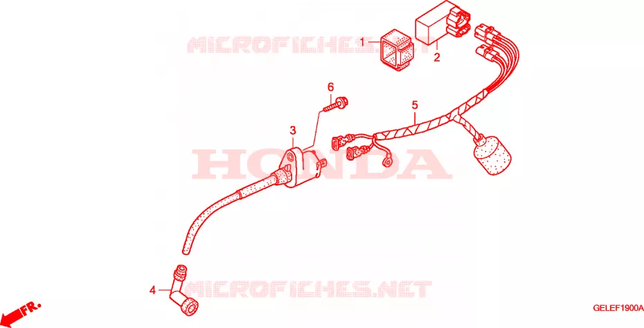 WIRE HARNESS Honda MOTO 50 CRF 2007  CRF50F7