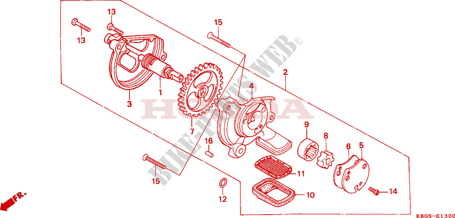 OIL PUMP for Honda CB 250 TWO FIFTY PAYO 1994