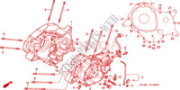 CRANKCASE for Honda SHADOW 125 2007