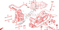 CRANKCASE for Honda JAZZ 250 -ED- 2002