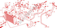 RADIATOR  for Honda CBR 125 2008