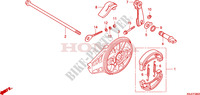 REAR BRAKE PANEL   SHOES for Honda CRF 100 2010