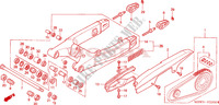 SWINGARM for Honda CBR 600 34HP 2000