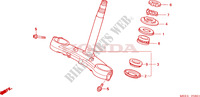 STEERING DAMPER (CBR600RR5/6) for Honda CBR 600 RR 2005