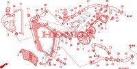 RADIATOR for Honda CBR 1000 RR FIREBLADE REPSOL 2007
