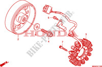 ALTERNATOR for Honda CBF 600 NAKED ABS 34HP 2010