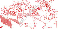 RADIATOR for Honda CBF 600 NAKED ABS 2010