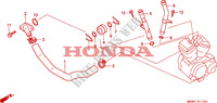 WATER HOSE for Honda VLX SHADOW 600 2 TONE 1999