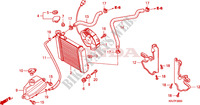 RADIATOR for Honda S WING 125 FES ABS 2009