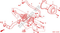 WATER PUMP for Honda CBF 600 NAKED ABS 2004