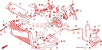 RADIATOR for Honda CBF 1000 ABS 2010