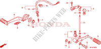 PEDAL for Honda CB 600 F HORNET RAYURES 34HP 2010