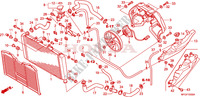 RADIATOR for Honda CB 600 F HORNET ABS 2010