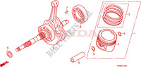 CRANKSHAFT for Honda TRX 250 FOURTRAX RECON Standard 2010