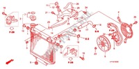 RADIATOR for Honda TRX 450 R SPORTRAX Electric Start 2012