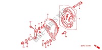 REAR BRAKE PANEL   SHOES for Honda CBF 150 PREMIUM, Logo en alto relieve en el tanque 2009